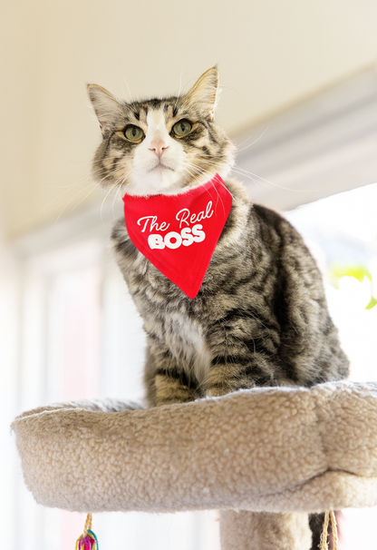 The Real Boss Cat Bandana