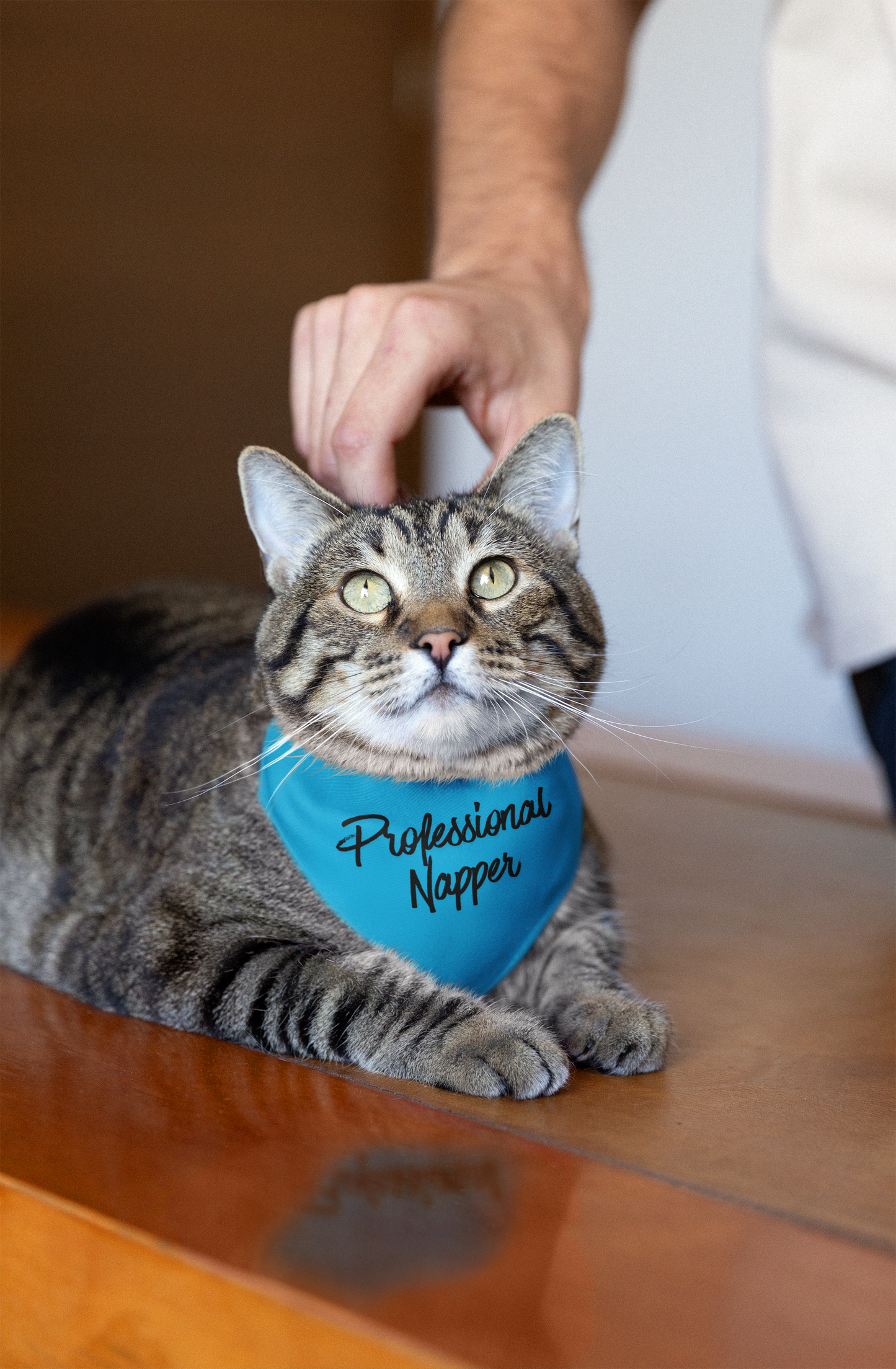 Pawfect Style Bandana