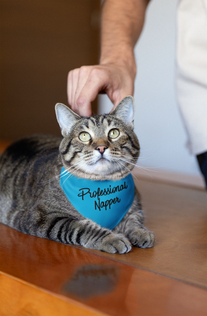 Pawfect Style Bandana
