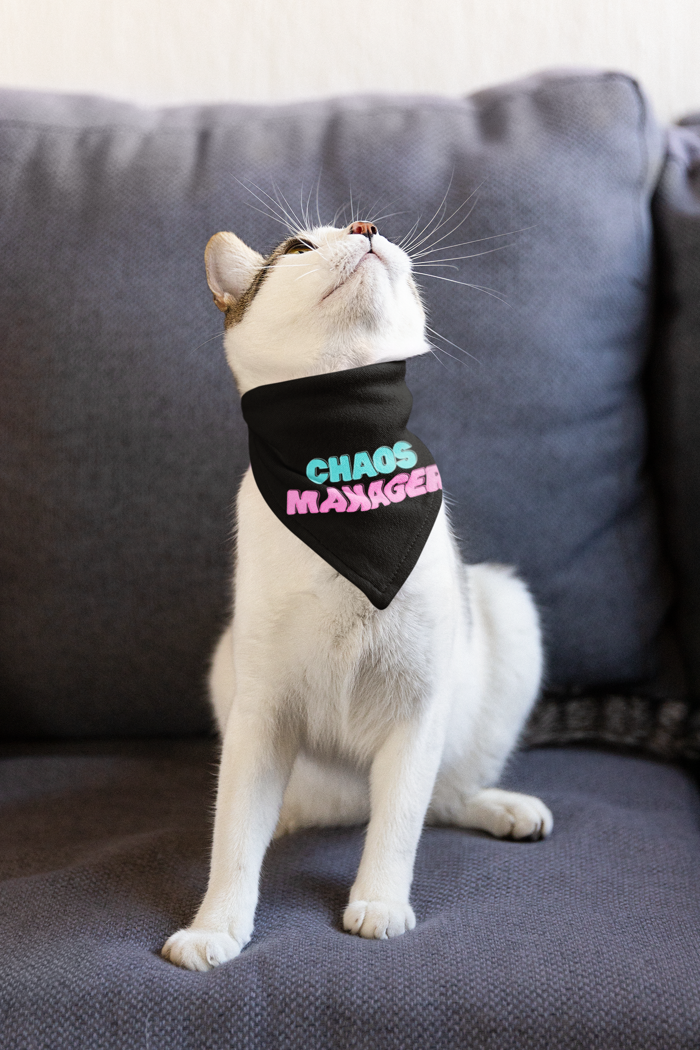 Cat Bandana